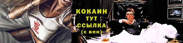 тгк Алзамай