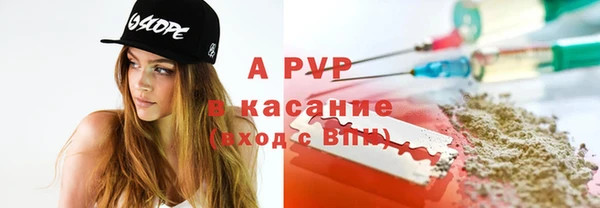 сатива Осташков