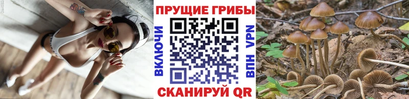 Галлюциногенные грибы Magic Shrooms Красково